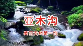 首发2nm芯片!苹果A19 Pro逐渐浮出水面,你会买单吗?
